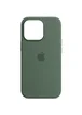 Чехол Silicone case (AAA) full with Magsafe для Apple iPhone 13 Pro Max (6.7") Зеленый / Eucalyptus