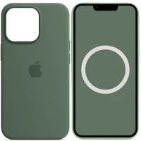 Чохол Silicone case (AAA) full with Magsafe and Animation для Apple iPhone 13 Pro Max (6.7") Зелений / Eucalyptus
