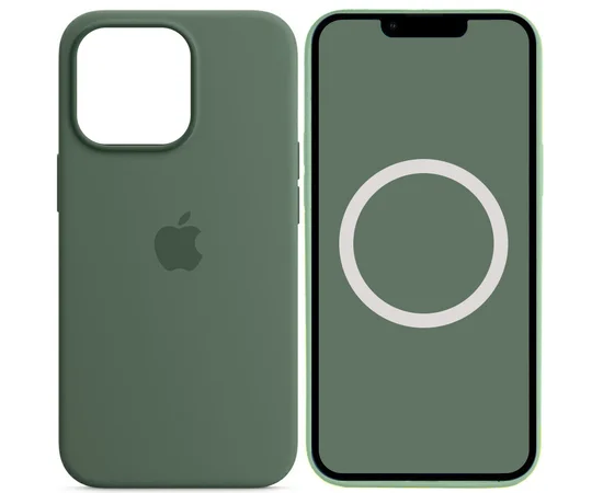 Чехол Silicone case (AAA) full with Magsafe and Animation для Apple iPhone 13 Pro Max (6.7") Зеленый / Eucalyptus