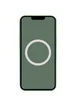 Чехол Silicone case (AAA) full with Magsafe and Animation для Apple iPhone 13 Pro Max (6.7") Зеленый / Eucalyptus