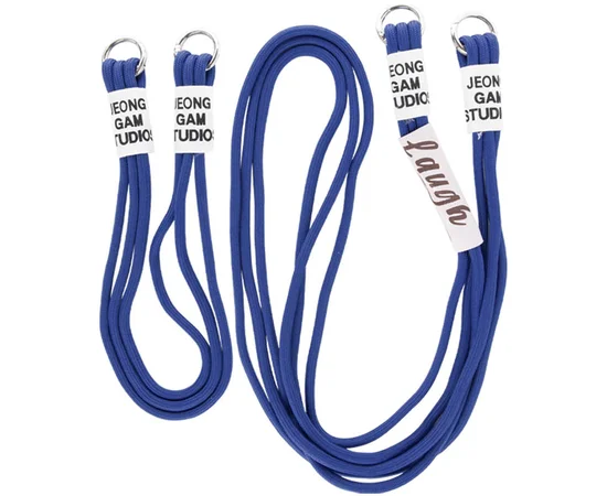 Чохол TPU two straps California для Apple iPhone 13 Pro Max (6.7") Темно-синій / Midnight blue