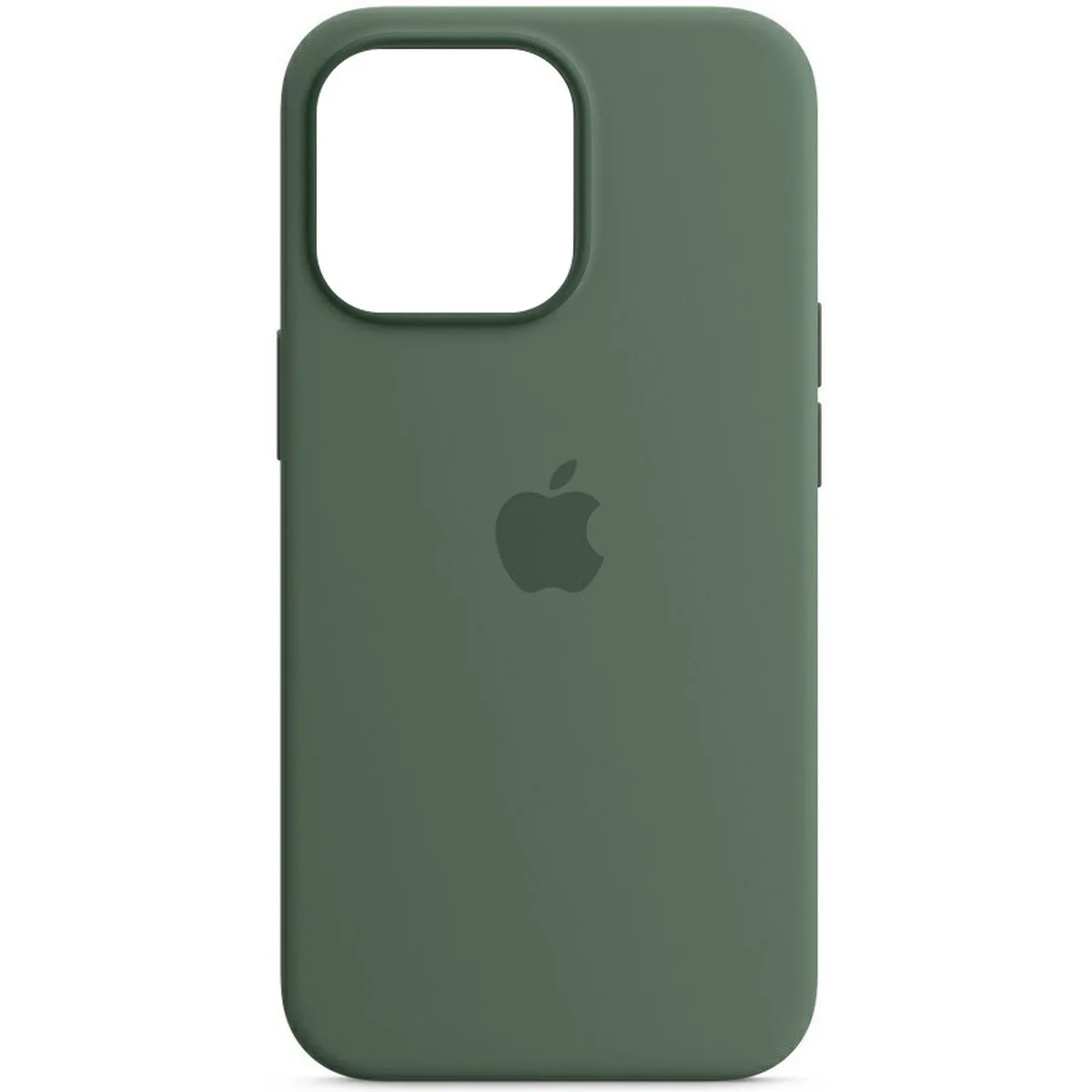 Чехол Silicone case (AAA) full with Magsafe and Animation для Apple iPhone 13 Pro Max (6.7") Зеленый / Eucalyptus