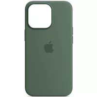 Чехол Silicone case (AAA) full with Magsafe для Apple iPhone 13 Pro Max (6.7") Зеленый / Eucalyptus