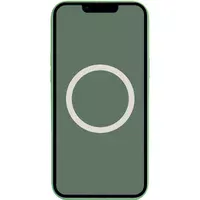 Чехол Silicone case (AAA) full with Magsafe and Animation для Apple iPhone 13 Pro Max (6.7") Зеленый / Eucalyptus
