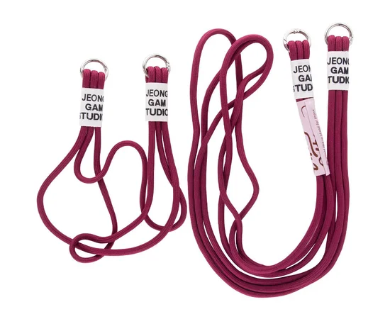 Чохол TPU two straps California для Apple iPhone 13 Pro (6.1") Червоний / Rose Red