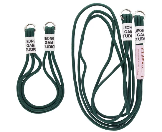 Чехол TPU two straps California для Apple iPhone 13 Pro (6.1") Зеленый / Forest green