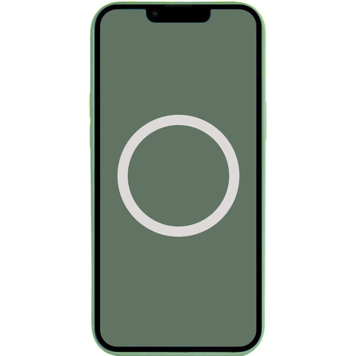 Чохол Silicone case (AAA) full with Magsafe and Animation для Apple iPhone 13 Pro (6.1") Зелений / Eucalyptus