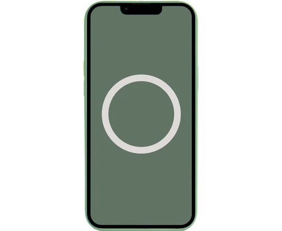 Чехол Silicone case (AAA) full with Magsafe and Animation для Apple iPhone 13 Pro (6.1") Зеленый / Eucalyptus