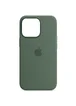 Чехол Silicone case (AAA) full with Magsafe and Animation для Apple iPhone 13 Pro (6.1") Зеленый / Eucalyptus