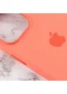 Чехол Silicone case (AAA) full with Magsafe and Animation для Apple iPhone 13 Pro (6.1") Розовый / Pink Pomelo