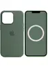 Чохол Silicone case (AAA) full with Magsafe and Animation для Apple iPhone 13 Pro (6.1") Зелений / Eucalyptus