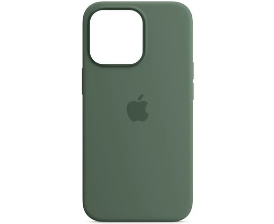 Чохол Silicone case (AAA) full with Magsafe and Animation для Apple iPhone 13 Pro (6.1") Зелений / Eucalyptus