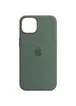 Чехол Silicone case (AAA) full with Magsafe and Animation для Apple iPhone 13 (6.1") Зеленый / Eucalyptus