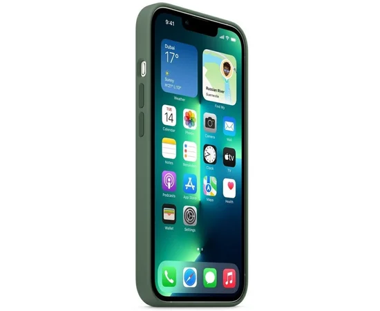 Чехол Silicone case (AAA) full with Magsafe для Apple iPhone 13 (6.1") Зеленый / Eucalyptus