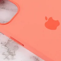 Чохол Silicone case (AAA) full with Magsafe and Animation для Apple iPhone 13 (6.1") Рожевий / Pink Pomelo