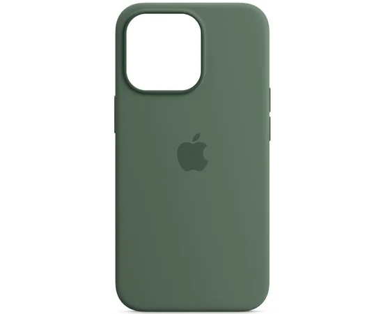 Чехол Silicone case (AAA) full with Magsafe для Apple iPhone 13 (6.1") Зеленый / Eucalyptus