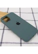 Чехол Silicone Case Full Protective (AA) для Apple iPhone 13 (6.1") Зеленый / Cactus