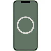 Чехол Silicone case (AAA) full with Magsafe and Animation для Apple iPhone 13 (6.1") Зеленый / Eucalyptus