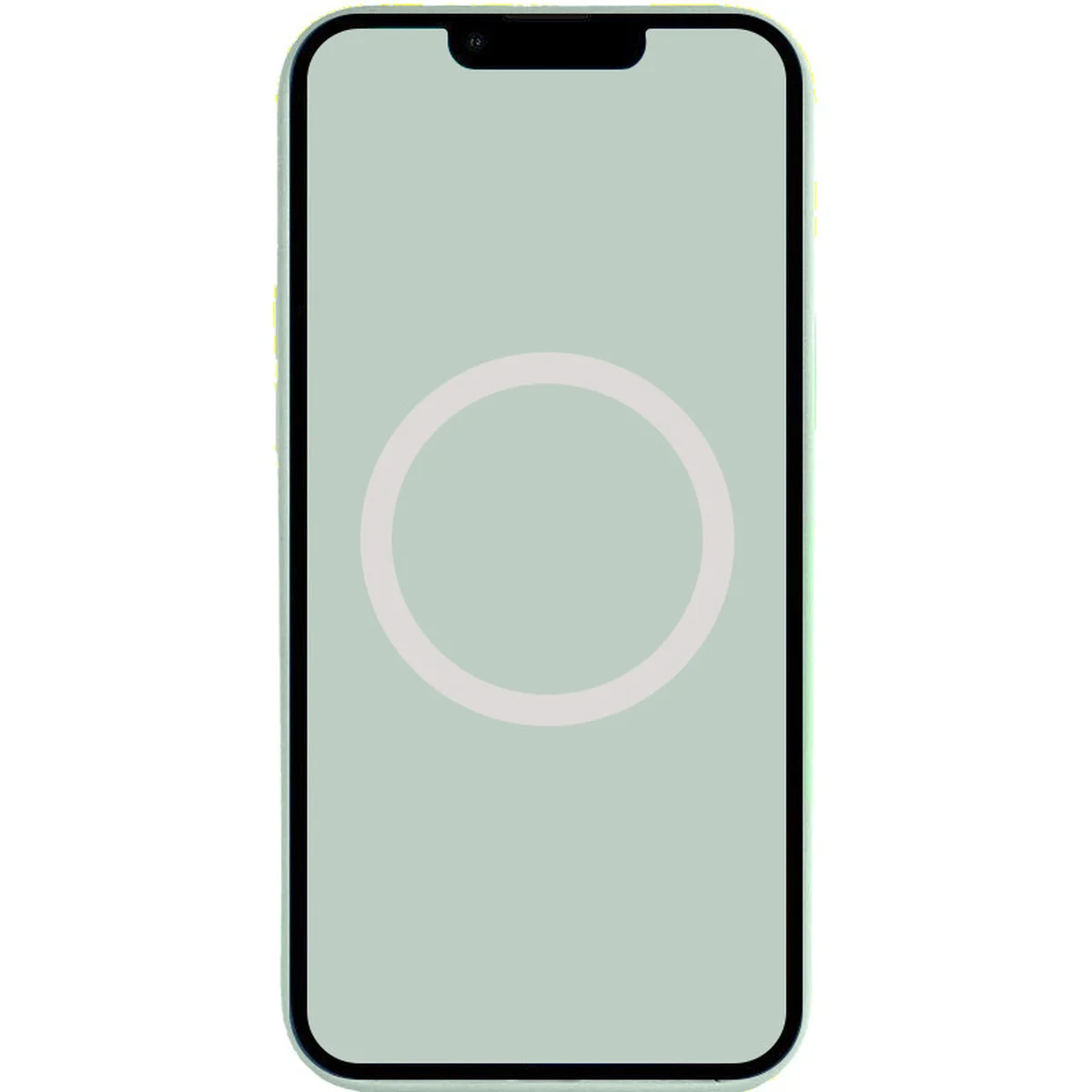 Чохол Silicone case (AAA) full with Magsafe and Animation для Apple iPhone 14 Pro Max (6.7") Бірюзовий / Succulent