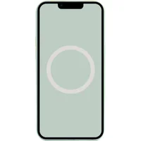 Чехол Silicone case (AAA) full with Magsafe and Animation для Apple iPhone 14 Pro Max (6.7") Бирюзовый / Succulent
