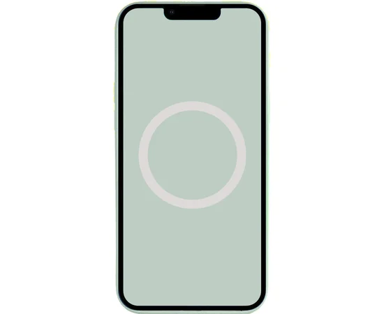 Чехол Silicone case (AAA) full with Magsafe and Animation для Apple iPhone 14 Pro Max (6.7") Бирюзовый / Succulent