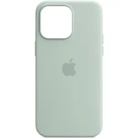Чехол Silicone case (AAA) full with Magsafe and Animation для Apple iPhone 14 Pro Max (6.7") Бирюзовый / Succulent