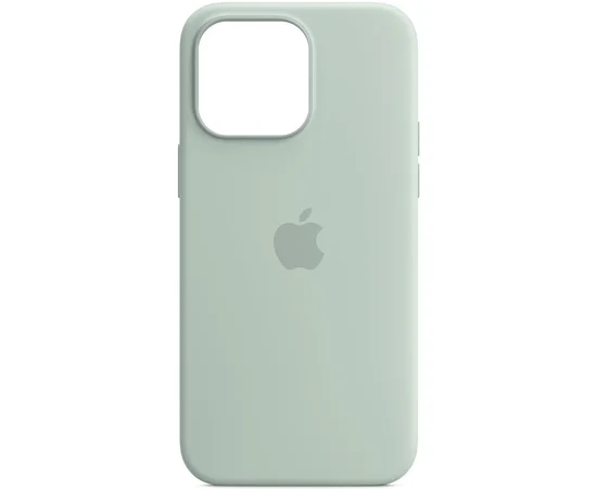 Чехол Silicone case (AAA) full with Magsafe and Animation для Apple iPhone 14 Pro Max (6.7") Бирюзовый / Succulent