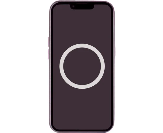 Чехол Silicone case (AAA) full with Magsafe and Animation для Apple iPhone 14 Pro Max (6.7") Фиолетовый / Elderberry