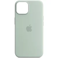 Чехол Silicone case (AAA) full with Magsafe для Apple iPhone 14 Pro Max (6.7") Бирюзовый / Succulent