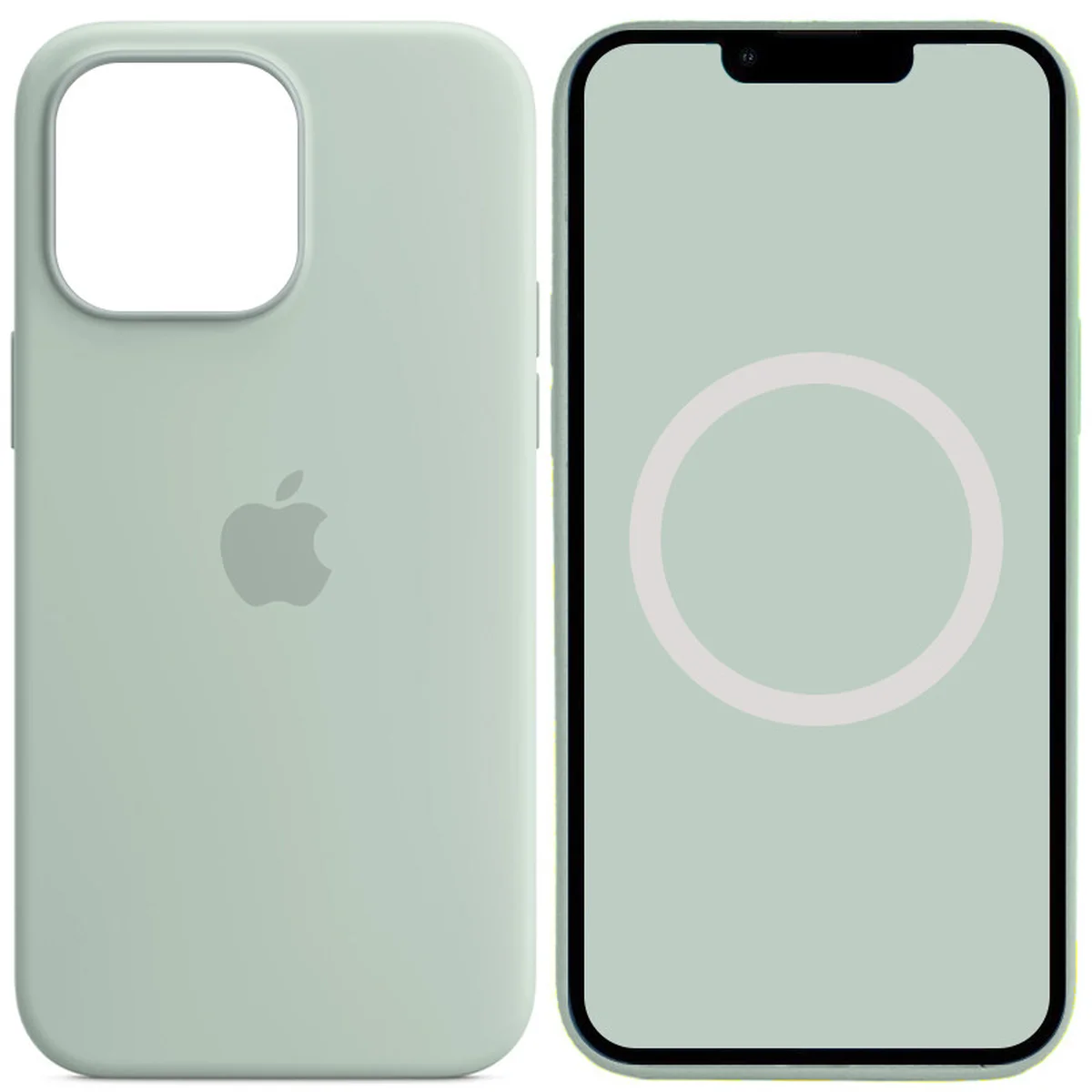 Чохол Silicone case (AAA) full with Magsafe and Animation для Apple iPhone 14 Pro Max (6.7") Бірюзовий / Succulent