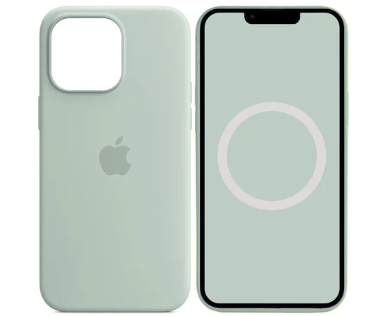 Чехол Silicone case (AAA) full with Magsafe and Animation для Apple iPhone 14 Pro Max (6.7") Бирюзовый / Succulent