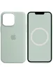 Чехол Silicone case (AAA) full with Magsafe and Animation для Apple iPhone 14 Pro Max (6.7") Бирюзовый / Succulent