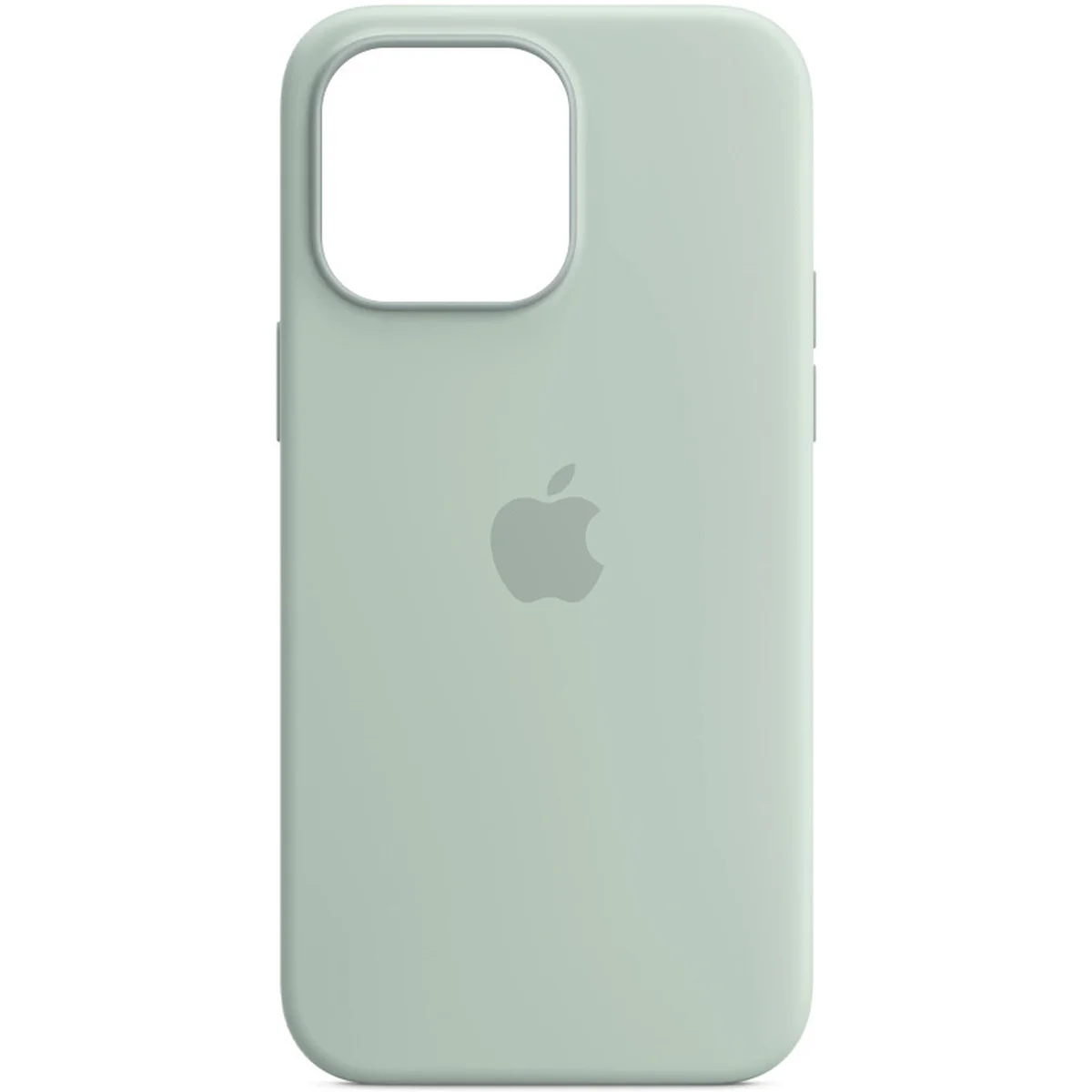 Чехол Silicone case (AAA) full with Magsafe and Animation для Apple iPhone 14 Pro (6.1") Бирюзовый / Succulent