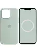 Чохол Silicone case (AAA) full with Magsafe and Animation для Apple iPhone 14 Pro (6.1") Бірюзовий / Succulent