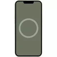 Чохол Silicone case (AAA) full with Magsafe and Animation для Apple iPhone 14 (6.1") Зелений / Olive