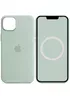 Чехол Silicone case (AAA) full with Magsafe and Animation для Apple iPhone 14 (6.1") Бирюзовый / Succulent