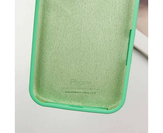 Чехол Silicone Case Full Protective (AA) для Apple iPhone 15 Pro Max (6.7") Зеленый / Spearmint