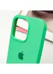 Чохол Silicone Case Full Protective (AA) для Apple iPhone 15 Pro (6.1") Зелений / Spearmint