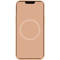 Чехол Silicone case (AAA) full with Magsafe and Animation для Apple iPhone 15 (6.1") Оранжевый / Orange Sorbet