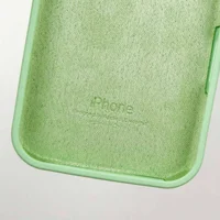 Чехол Silicone Case Full Protective (AA) для Apple iPhone 16 Plus (6.7") Зеленый / Pistachio