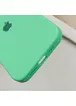 Чехол Silicone Case Full Protective (AA) для Apple iPhone 16 Plus (6.7") Зеленый / Spearmint