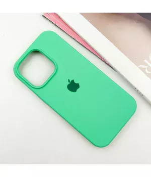 Чохол Silicone Case Full Protective (AA) для Apple iPhone 16 Pro Max (6.9") Зелений / Spearmint