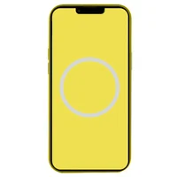 Чехол Silicone case (AAA) with Magsafe and Animation (button) для Apple iPhone 16 Pro (6.3") Star Fruit