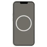 Чехол Silicone case (AAA) full with Magsafe and Animation для Apple iPhone 16 Pro (6.3") Stone Grey