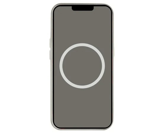 Чехол Silicone case (AAA) full with Magsafe and Animation для Apple iPhone 16 Pro (6.3") Stone Grey