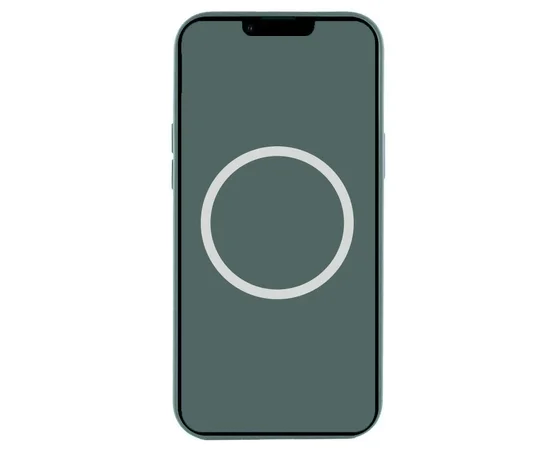Чохол Silicone case (AAA) full with Magsafe and Animation для Apple iPhone 16 Pro (6.3") Lake Green