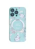 TPU+PC чехол Secret Garden with MagSafe для Apple iPhone 16 Pro (6.3") Mint
