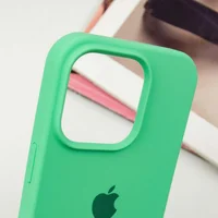 Чехол Silicone Case Full Protective (AA) для Apple iPhone 16 Pro (6.3") Зеленый / Spearmint