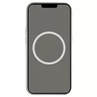 Чехол Silicone case (AAA) with Magsafe and Animation (button) для Apple iPhone 16 Pro (6.3") Stone Grey