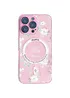 TPU+PC чохол Secret Garden with MagSafe для Apple iPhone 16 Pro (6.3") Pink